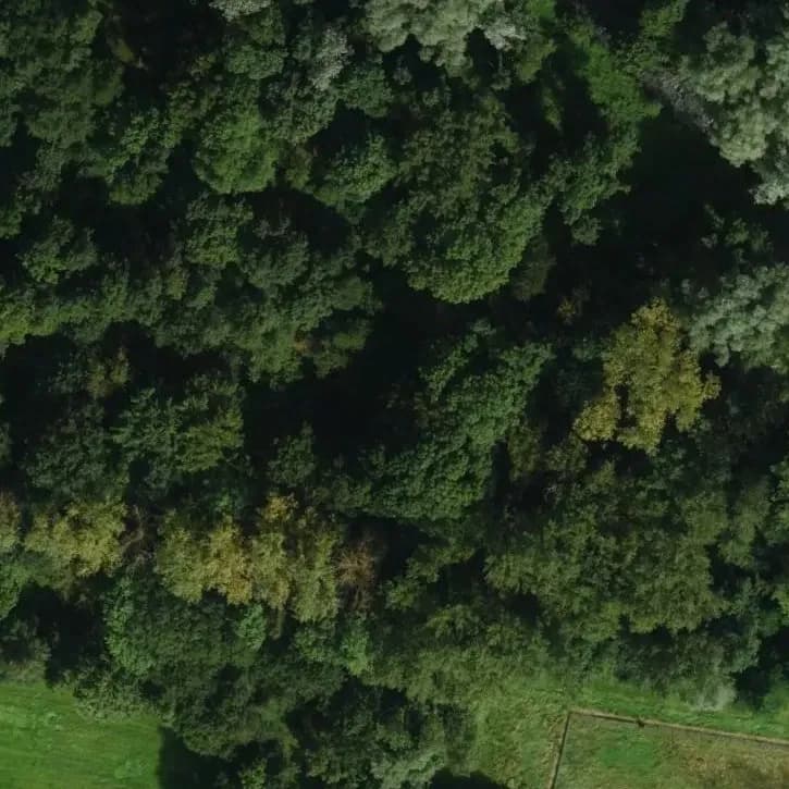 Verlaten Boerderij