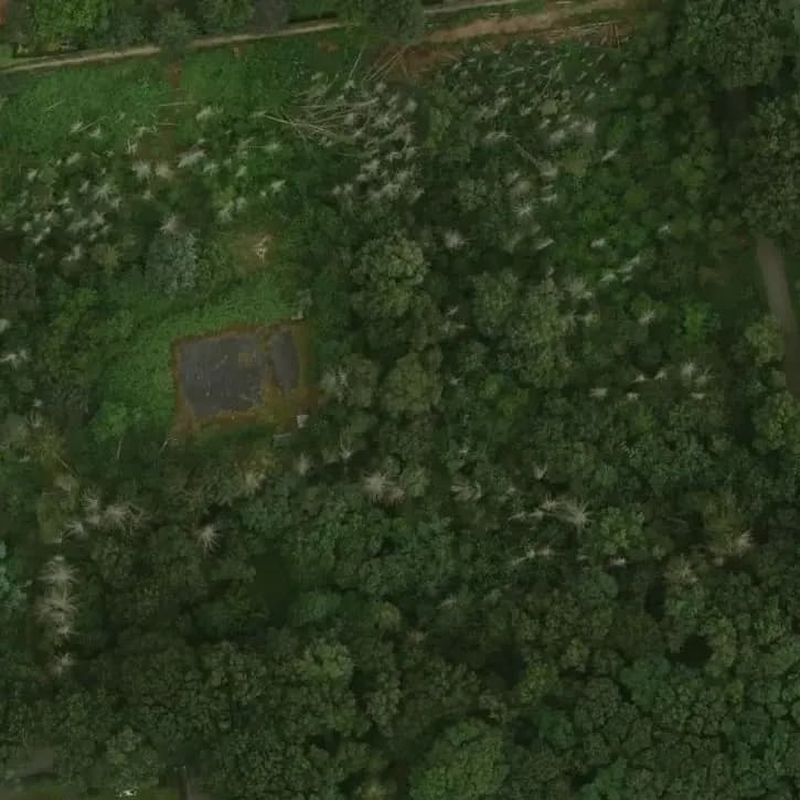 Bunker