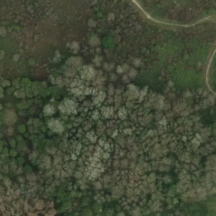 Bunker 