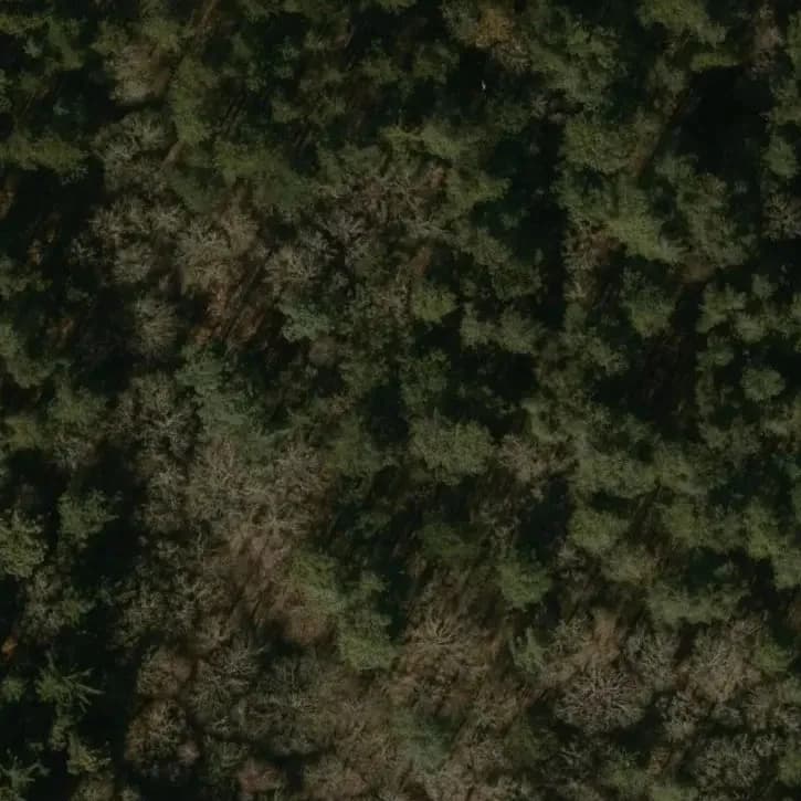 Bunker